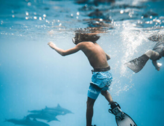 Syabas88 App Download